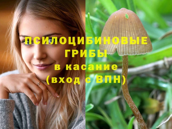 альфа пвп Покровск