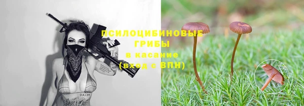 ешки Алзамай