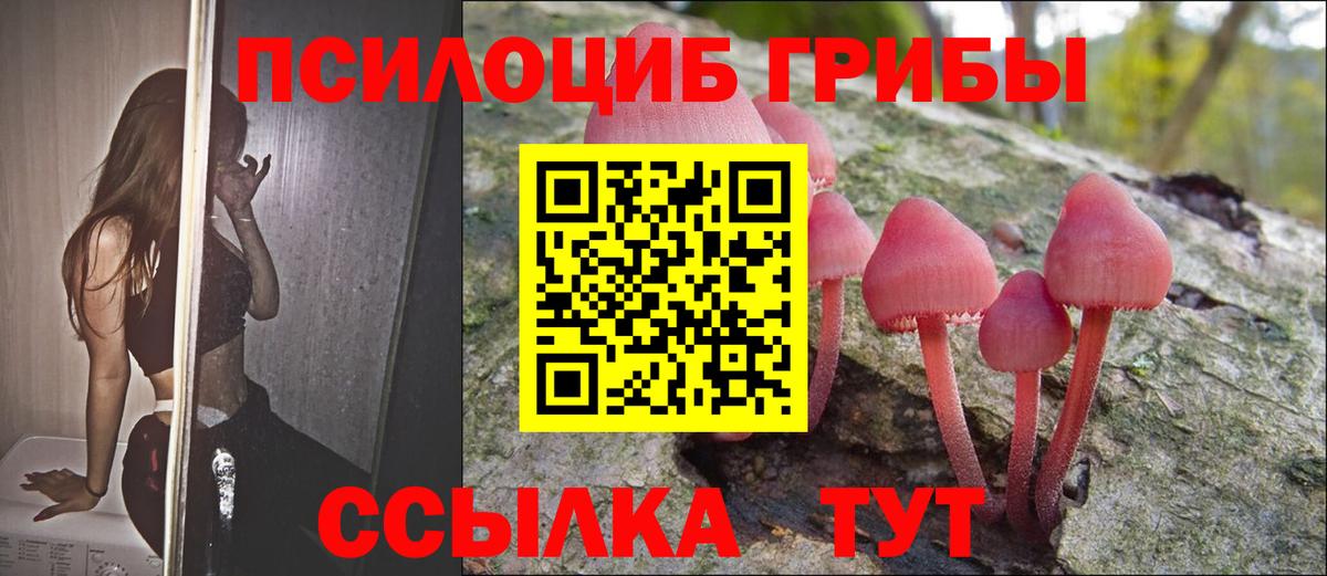 Галлюциногенные грибы мухоморы Тында
