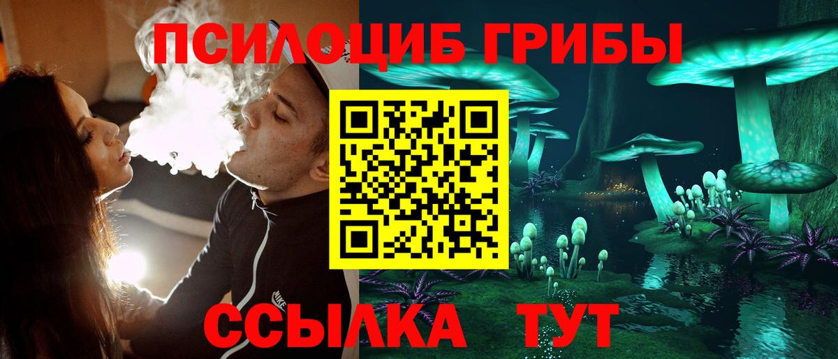Галлюциногенные грибы Psilocybe  сколько стоит  Псилоцибиновые грибы мицелий  Тында  Вход с VPN 